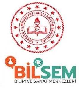 BİLSEM Nedir?